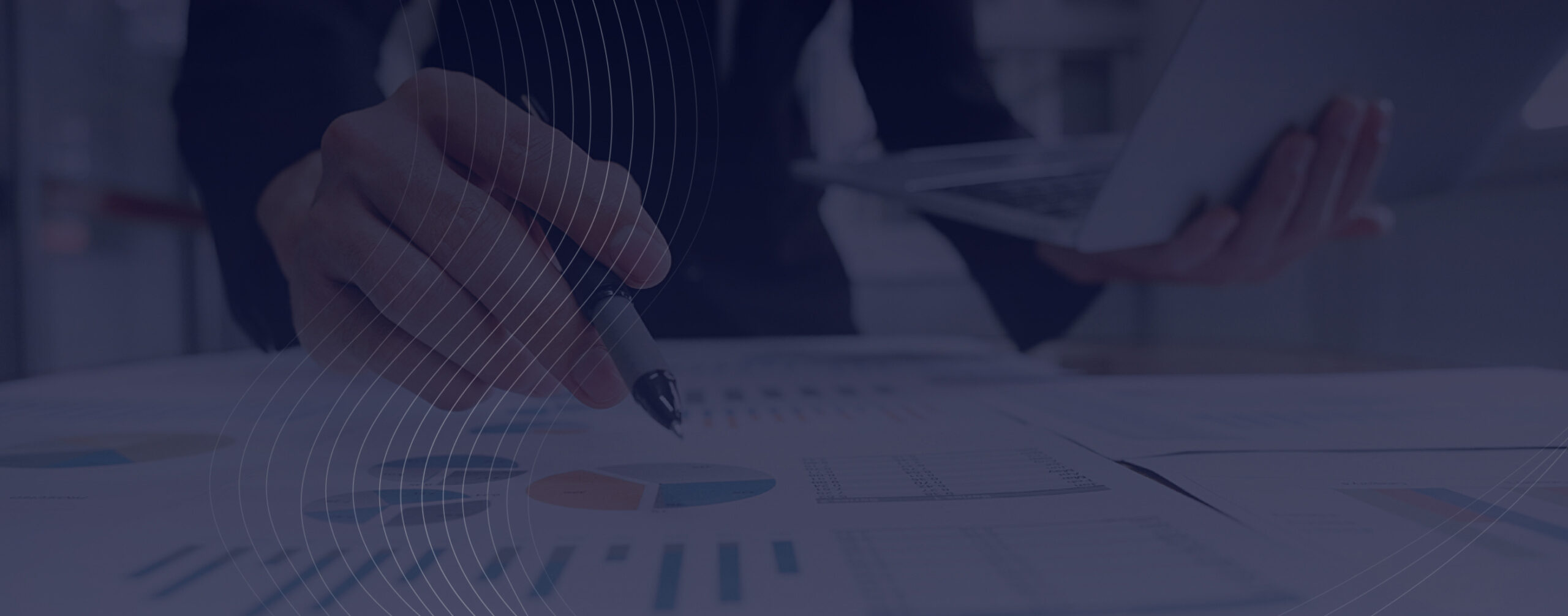 Internal Audits header image